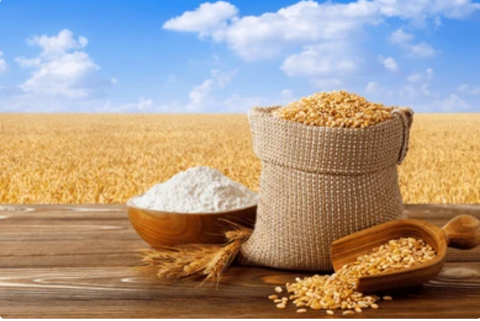 digital marketing agency in nashik